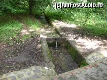 [P21] Sovata - un izvor care se varsa in Lacul Ursu » foto by biancuta
 - 
<span class="allrVoted glyphicon glyphicon-heart hidden" id="av104982"></span>
<a class="m-l-10 hidden" id="sv104982" onclick="voting_Foto_DelVot(,104982,4909)" role="button">șterge vot <span class="glyphicon glyphicon-remove"></span></a>
<a id="v9104982" class=" c-red"  onclick="voting_Foto_SetVot(104982)" role="button"><span class="glyphicon glyphicon-heart-empty"></span> <b>LIKE</b> = Votează poza</a> <img class="hidden"  id="f104982W9" src="/imagini/loader.gif" border="0" /><span class="AjErrMes hidden" id="e104982ErM"></span>