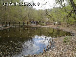 [P45] Lacul Verde » foto by crismis
 - 
<span class="allrVoted glyphicon glyphicon-heart hidden" id="av856693"></span>
<a class="m-l-10 hidden" id="sv856693" onclick="voting_Foto_DelVot(,856693,4909)" role="button">șterge vot <span class="glyphicon glyphicon-remove"></span></a>
<a id="v9856693" class=" c-red"  onclick="voting_Foto_SetVot(856693)" role="button"><span class="glyphicon glyphicon-heart-empty"></span> <b>LIKE</b> = Votează poza</a> <img class="hidden"  id="f856693W9" src="/imagini/loader.gif" border="0" /><span class="AjErrMes hidden" id="e856693ErM"></span>
