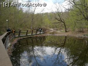 [P46] Lacul Verde, dincolo de el Lacul Roșu » foto by crismis
 - 
<span class="allrVoted glyphicon glyphicon-heart hidden" id="av856694"></span>
<a class="m-l-10 hidden" id="sv856694" onclick="voting_Foto_DelVot(,856694,4909)" role="button">șterge vot <span class="glyphicon glyphicon-remove"></span></a>
<a id="v9856694" class=" c-red"  onclick="voting_Foto_SetVot(856694)" role="button"><span class="glyphicon glyphicon-heart-empty"></span> <b>LIKE</b> = Votează poza</a> <img class="hidden"  id="f856694W9" src="/imagini/loader.gif" border="0" /><span class="AjErrMes hidden" id="e856694ErM"></span>