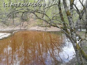 [P48] Lacul Roșu » foto by crismis
 - 
<span class="allrVoted glyphicon glyphicon-heart hidden" id="av856696"></span>
<a class="m-l-10 hidden" id="sv856696" onclick="voting_Foto_DelVot(,856696,4909)" role="button">șterge vot <span class="glyphicon glyphicon-remove"></span></a>
<a id="v9856696" class=" c-red"  onclick="voting_Foto_SetVot(856696)" role="button"><span class="glyphicon glyphicon-heart-empty"></span> <b>LIKE</b> = Votează poza</a> <img class="hidden"  id="f856696W9" src="/imagini/loader.gif" border="0" /><span class="AjErrMes hidden" id="e856696ErM"></span>