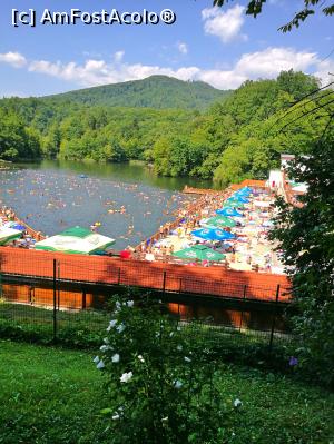 [P02] Lacul Ursu, in luna lui august » foto by iulix_73
 - 
<span class="allrVoted glyphicon glyphicon-heart hidden" id="av897376"></span>
<a class="m-l-10 hidden" id="sv897376" onclick="voting_Foto_DelVot(,897376,4909)" role="button">șterge vot <span class="glyphicon glyphicon-remove"></span></a>
<a id="v9897376" class=" c-red"  onclick="voting_Foto_SetVot(897376)" role="button"><span class="glyphicon glyphicon-heart-empty"></span> <b>LIKE</b> = Votează poza</a> <img class="hidden"  id="f897376W9" src="/imagini/loader.gif" border="0" /><span class="AjErrMes hidden" id="e897376ErM"></span>
