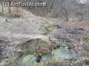 [P11] In Valea cu namol gasesti de toate, un parau cu apa dulce si alge, mult namol, ascuns sub frunze si lacuri mici si sarate » foto by dorgo
 - 
<span class="allrVoted glyphicon glyphicon-heart hidden" id="av1229561"></span>
<a class="m-l-10 hidden" id="sv1229561" onclick="voting_Foto_DelVot(,1229561,4909)" role="button">șterge vot <span class="glyphicon glyphicon-remove"></span></a>
<a id="v91229561" class=" c-red"  onclick="voting_Foto_SetVot(1229561)" role="button"><span class="glyphicon glyphicon-heart-empty"></span> <b>LIKE</b> = Votează poza</a> <img class="hidden"  id="f1229561W9" src="/imagini/loader.gif" border="0" /><span class="AjErrMes hidden" id="e1229561ErM"></span>