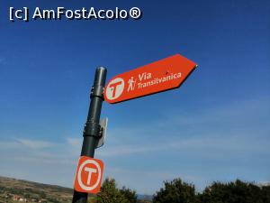 [P20] Via Transilvanica » foto by dorgo
 - 
<span class="allrVoted glyphicon glyphicon-heart hidden" id="av1229584"></span>
<a class="m-l-10 hidden" id="sv1229584" onclick="voting_Foto_DelVot(,1229584,4909)" role="button">șterge vot <span class="glyphicon glyphicon-remove"></span></a>
<a id="v91229584" class=" c-red"  onclick="voting_Foto_SetVot(1229584)" role="button"><span class="glyphicon glyphicon-heart-empty"></span> <b>LIKE</b> = Votează poza</a> <img class="hidden"  id="f1229584W9" src="/imagini/loader.gif" border="0" /><span class="AjErrMes hidden" id="e1229584ErM"></span>