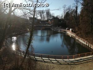 [P21] Lacul Negru » foto by dorgo
 - 
<span class="allrVoted glyphicon glyphicon-heart hidden" id="av1229585"></span>
<a class="m-l-10 hidden" id="sv1229585" onclick="voting_Foto_DelVot(,1229585,4909)" role="button">șterge vot <span class="glyphicon glyphicon-remove"></span></a>
<a id="v91229585" class=" c-red"  onclick="voting_Foto_SetVot(1229585)" role="button"><span class="glyphicon glyphicon-heart-empty"></span> <b>LIKE</b> = Votează poza</a> <img class="hidden"  id="f1229585W9" src="/imagini/loader.gif" border="0" /><span class="AjErrMes hidden" id="e1229585ErM"></span>