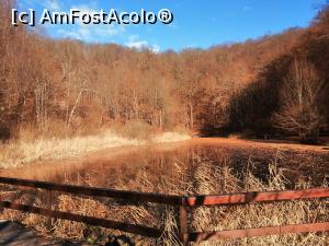 [P09] De pe drumul spre Lacul Tivoli, facem un scurt popas la Lacul Paraschiva » foto by dorgo
 - 
<span class="allrVoted glyphicon glyphicon-heart hidden" id="av1229558"></span>
<a class="m-l-10 hidden" id="sv1229558" onclick="voting_Foto_DelVot(,1229558,4909)" role="button">șterge vot <span class="glyphicon glyphicon-remove"></span></a>
<a id="v91229558" class=" c-red"  onclick="voting_Foto_SetVot(1229558)" role="button"><span class="glyphicon glyphicon-heart-empty"></span> <b>LIKE</b> = Votează poza</a> <img class="hidden"  id="f1229558W9" src="/imagini/loader.gif" border="0" /><span class="AjErrMes hidden" id="e1229558ErM"></span>