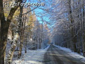 [P03] De la Sovata si pana la partie sunt 6 Km de drum prin padure » foto by dorgo
 - 
<span class="allrVoted glyphicon glyphicon-heart hidden" id="av1252053"></span>
<a class="m-l-10 hidden" id="sv1252053" onclick="voting_Foto_DelVot(,1252053,4909)" role="button">șterge vot <span class="glyphicon glyphicon-remove"></span></a>
<a id="v91252053" class=" c-red"  onclick="voting_Foto_SetVot(1252053)" role="button"><span class="glyphicon glyphicon-heart-empty"></span> <b>LIKE</b> = Votează poza</a> <img class="hidden"  id="f1252053W9" src="/imagini/loader.gif" border="0" /><span class="AjErrMes hidden" id="e1252053ErM"></span>