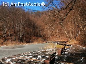 [P19] Lacul Paraschiva » foto by dorgo
 - 
<span class="allrVoted glyphicon glyphicon-heart hidden" id="av1252269"></span>
<a class="m-l-10 hidden" id="sv1252269" onclick="voting_Foto_DelVot(,1252269,4909)" role="button">șterge vot <span class="glyphicon glyphicon-remove"></span></a>
<a id="v91252269" class=" c-red"  onclick="voting_Foto_SetVot(1252269)" role="button"><span class="glyphicon glyphicon-heart-empty"></span> <b>LIKE</b> = Votează poza</a> <img class="hidden"  id="f1252269W9" src="/imagini/loader.gif" border="0" /><span class="AjErrMes hidden" id="e1252269ErM"></span>