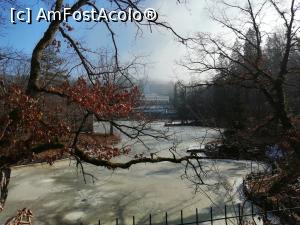 [P08] E "gheata la mal" si cam peste tot, pe Lacul Ursu » foto by dorgo
 - 
<span class="allrVoted glyphicon glyphicon-heart hidden" id="av1252258"></span>
<a class="m-l-10 hidden" id="sv1252258" onclick="voting_Foto_DelVot(,1252258,4909)" role="button">șterge vot <span class="glyphicon glyphicon-remove"></span></a>
<a id="v91252258" class=" c-red"  onclick="voting_Foto_SetVot(1252258)" role="button"><span class="glyphicon glyphicon-heart-empty"></span> <b>LIKE</b> = Votează poza</a> <img class="hidden"  id="f1252258W9" src="/imagini/loader.gif" border="0" /><span class="AjErrMes hidden" id="e1252258ErM"></span>