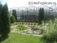 [P49] serele vazute din exterior se inalta dupa un mic lac cu nuferi si pestisori rosii » foto by dorgo
 - 
<span class="allrVoted glyphicon glyphicon-heart hidden" id="av101463"></span>
<a class="m-l-10 hidden" id="sv101463" onclick="voting_Foto_DelVot(,101463,4909)" role="button">șterge vot <span class="glyphicon glyphicon-remove"></span></a>
<a id="v9101463" class=" c-red"  onclick="voting_Foto_SetVot(101463)" role="button"><span class="glyphicon glyphicon-heart-empty"></span> <b>LIKE</b> = Votează poza</a> <img class="hidden"  id="f101463W9" src="/imagini/loader.gif" border="0" /><span class="AjErrMes hidden" id="e101463ErM"></span>