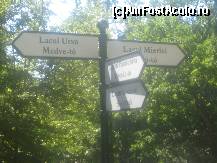 [P01] Spre lacul Mierlei » foto by dorgo
 - 
<span class="allrVoted glyphicon glyphicon-heart hidden" id="av259491"></span>
<a class="m-l-10 hidden" id="sv259491" onclick="voting_Foto_DelVot(,259491,4909)" role="button">șterge vot <span class="glyphicon glyphicon-remove"></span></a>
<a id="v9259491" class=" c-red"  onclick="voting_Foto_SetVot(259491)" role="button"><span class="glyphicon glyphicon-heart-empty"></span> <b>LIKE</b> = Votează poza</a> <img class="hidden"  id="f259491W9" src="/imagini/loader.gif" border="0" /><span class="AjErrMes hidden" id="e259491ErM"></span>