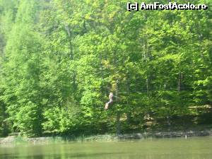 [P10] Cu tiroliana in zbor, peste lacul Tineretului » foto by dorgo
 - 
<span class="allrVoted glyphicon glyphicon-heart hidden" id="av526367"></span>
<a class="m-l-10 hidden" id="sv526367" onclick="voting_Foto_DelVot(,526367,4909)" role="button">șterge vot <span class="glyphicon glyphicon-remove"></span></a>
<a id="v9526367" class=" c-red"  onclick="voting_Foto_SetVot(526367)" role="button"><span class="glyphicon glyphicon-heart-empty"></span> <b>LIKE</b> = Votează poza</a> <img class="hidden"  id="f526367W9" src="/imagini/loader.gif" border="0" /><span class="AjErrMes hidden" id="e526367ErM"></span>
