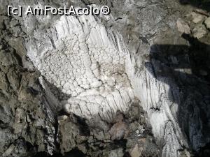 [P16] Langa Lacul Paraschiva, exista stanci de sare dar care n-au influentat calitatea apei lacului » foto by dorgo
 - 
<span class="allrVoted glyphicon glyphicon-heart hidden" id="av841022"></span>
<a class="m-l-10 hidden" id="sv841022" onclick="voting_Foto_DelVot(,841022,4909)" role="button">șterge vot <span class="glyphicon glyphicon-remove"></span></a>
<a id="v9841022" class=" c-red"  onclick="voting_Foto_SetVot(841022)" role="button"><span class="glyphicon glyphicon-heart-empty"></span> <b>LIKE</b> = Votează poza</a> <img class="hidden"  id="f841022W9" src="/imagini/loader.gif" border="0" /><span class="AjErrMes hidden" id="e841022ErM"></span>