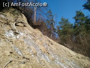 [P22] Apectul solului dintre Lacul Negru si izvorul Ghera » foto by dorgo
 - 
<span class="allrVoted glyphicon glyphicon-heart hidden" id="av841028"></span>
<a class="m-l-10 hidden" id="sv841028" onclick="voting_Foto_DelVot(,841028,4909)" role="button">șterge vot <span class="glyphicon glyphicon-remove"></span></a>
<a id="v9841028" class=" c-red"  onclick="voting_Foto_SetVot(841028)" role="button"><span class="glyphicon glyphicon-heart-empty"></span> <b>LIKE</b> = Votează poza</a> <img class="hidden"  id="f841028W9" src="/imagini/loader.gif" border="0" /><span class="AjErrMes hidden" id="e841028ErM"></span>