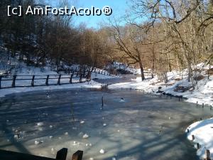[P06] Apoi, apar cele doua lacuri sarate ce comunica intre ele, Lacu Rosu si Lacul Verde, in care scaldatul e interzis » foto by dorgo
 - 
<span class="allrVoted glyphicon glyphicon-heart hidden" id="av841012"></span>
<a class="m-l-10 hidden" id="sv841012" onclick="voting_Foto_DelVot(,841012,4909)" role="button">șterge vot <span class="glyphicon glyphicon-remove"></span></a>
<a id="v9841012" class=" c-red"  onclick="voting_Foto_SetVot(841012)" role="button"><span class="glyphicon glyphicon-heart-empty"></span> <b>LIKE</b> = Votează poza</a> <img class="hidden"  id="f841012W9" src="/imagini/loader.gif" border="0" /><span class="AjErrMes hidden" id="e841012ErM"></span>