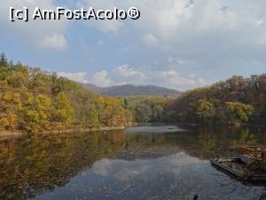 [P01] Toamna la Lacul Ursu - Sovata.  » foto by tata123 🔱
 - 
<span class="allrVoted glyphicon glyphicon-heart hidden" id="av1029110"></span>
<a class="m-l-10 hidden" id="sv1029110" onclick="voting_Foto_DelVot(,1029110,4909)" role="button">șterge vot <span class="glyphicon glyphicon-remove"></span></a>
<a id="v91029110" class=" c-red"  onclick="voting_Foto_SetVot(1029110)" role="button"><span class="glyphicon glyphicon-heart-empty"></span> <b>LIKE</b> = Votează poza</a> <img class="hidden"  id="f1029110W9" src="/imagini/loader.gif" border="0" /><span class="AjErrMes hidden" id="e1029110ErM"></span>