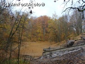 [P17] Lacul Mierlei, acoperit de frunze - Sovata.  » foto by tata123 🔱
 - 
<span class="allrVoted glyphicon glyphicon-heart hidden" id="av1029126"></span>
<a class="m-l-10 hidden" id="sv1029126" onclick="voting_Foto_DelVot(,1029126,4909)" role="button">șterge vot <span class="glyphicon glyphicon-remove"></span></a>
<a id="v91029126" class=" c-red"  onclick="voting_Foto_SetVot(1029126)" role="button"><span class="glyphicon glyphicon-heart-empty"></span> <b>LIKE</b> = Votează poza</a> <img class="hidden"  id="f1029126W9" src="/imagini/loader.gif" border="0" /><span class="AjErrMes hidden" id="e1029126ErM"></span>