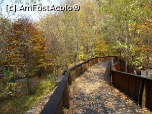 [P04] Pasarelă de lemn lângă Lacul Ursu.  » foto by tata123 🔱
 - 
<span class="allrVoted glyphicon glyphicon-heart hidden" id="av1029113"></span>
<a class="m-l-10 hidden" id="sv1029113" onclick="voting_Foto_DelVot(,1029113,4909)" role="button">șterge vot <span class="glyphicon glyphicon-remove"></span></a>
<a id="v91029113" class=" c-red"  onclick="voting_Foto_SetVot(1029113)" role="button"><span class="glyphicon glyphicon-heart-empty"></span> <b>LIKE</b> = Votează poza</a> <img class="hidden"  id="f1029113W9" src="/imagini/loader.gif" border="0" /><span class="AjErrMes hidden" id="e1029113ErM"></span>
