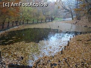 [P12] Lacul Verde - Sovata.  » foto by tata123 🔱
 - 
<span class="allrVoted glyphicon glyphicon-heart hidden" id="av1033840"></span>
<a class="m-l-10 hidden" id="sv1033840" onclick="voting_Foto_DelVot(,1033840,4909)" role="button">șterge vot <span class="glyphicon glyphicon-remove"></span></a>
<a id="v91033840" class=" c-red"  onclick="voting_Foto_SetVot(1033840)" role="button"><span class="glyphicon glyphicon-heart-empty"></span> <b>LIKE</b> = Votează poza</a> <img class="hidden"  id="f1033840W9" src="/imagini/loader.gif" border="0" /><span class="AjErrMes hidden" id="e1033840ErM"></span>