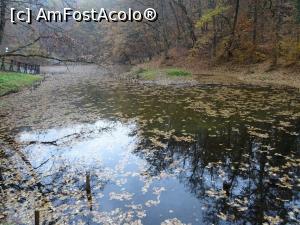 [P13] Lacul Roșu - Sovata.  » foto by tata123 🔱
 - 
<span class="allrVoted glyphicon glyphicon-heart hidden" id="av1033841"></span>
<a class="m-l-10 hidden" id="sv1033841" onclick="voting_Foto_DelVot(,1033841,4909)" role="button">șterge vot <span class="glyphicon glyphicon-remove"></span></a>
<a id="v91033841" class=" c-red"  onclick="voting_Foto_SetVot(1033841)" role="button"><span class="glyphicon glyphicon-heart-empty"></span> <b>LIKE</b> = Votează poza</a> <img class="hidden"  id="f1033841W9" src="/imagini/loader.gif" border="0" /><span class="AjErrMes hidden" id="e1033841ErM"></span>
