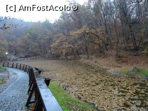 [P15] Toamna la Lacul Roșu din Sovata.  » foto by tata123 🔱
 - 
<span class="allrVoted glyphicon glyphicon-heart hidden" id="av1033844"></span>
<a class="m-l-10 hidden" id="sv1033844" onclick="voting_Foto_DelVot(,1033844,4909)" role="button">șterge vot <span class="glyphicon glyphicon-remove"></span></a>
<a id="v91033844" class=" c-red"  onclick="voting_Foto_SetVot(1033844)" role="button"><span class="glyphicon glyphicon-heart-empty"></span> <b>LIKE</b> = Votează poza</a> <img class="hidden"  id="f1033844W9" src="/imagini/loader.gif" border="0" /><span class="AjErrMes hidden" id="e1033844ErM"></span>