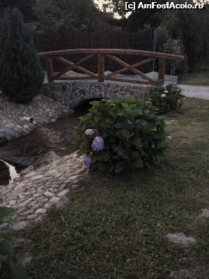 [P08]  -- <small>// FĂRĂ DESCRIERE</small> » foto by carolina1203
 - 
<span class="allrVoted glyphicon glyphicon-heart hidden" id="av541567"></span>
<a class="m-l-10 hidden" id="sv541567" onclick="voting_Foto_DelVot(,541567,4910)" role="button">șterge vot <span class="glyphicon glyphicon-remove"></span></a>
<a id="v9541567" class=" c-red"  onclick="voting_Foto_SetVot(541567)" role="button"><span class="glyphicon glyphicon-heart-empty"></span> <b>LIKE</b> = Votează poza</a> <img class="hidden"  id="f541567W9" src="/imagini/loader.gif" border="0" /><span class="AjErrMes hidden" id="e541567ErM"></span>