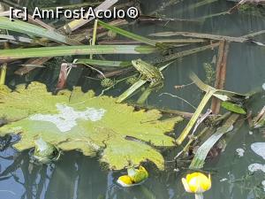 [P21] flora si fauna :) » foto by silvia tudoran
 - 
<span class="allrVoted glyphicon glyphicon-heart hidden" id="av1166301"></span>
<a class="m-l-10 hidden" id="sv1166301" onclick="voting_Foto_DelVot(,1166301,4923)" role="button">șterge vot <span class="glyphicon glyphicon-remove"></span></a>
<a id="v91166301" class=" c-red"  onclick="voting_Foto_SetVot(1166301)" role="button"><span class="glyphicon glyphicon-heart-empty"></span> <b>LIKE</b> = Votează poza</a> <img class="hidden"  id="f1166301W9" src="/imagini/loader.gif" border="0" /><span class="AjErrMes hidden" id="e1166301ErM"></span>