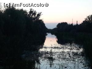 [P05] pe canale, cu barca, la apus » foto by silvia tudoran
 - 
<span class="allrVoted glyphicon glyphicon-heart hidden" id="av1166082"></span>
<a class="m-l-10 hidden" id="sv1166082" onclick="voting_Foto_DelVot(,1166082,4923)" role="button">șterge vot <span class="glyphicon glyphicon-remove"></span></a>
<a id="v91166082" class=" c-red"  onclick="voting_Foto_SetVot(1166082)" role="button"><span class="glyphicon glyphicon-heart-empty"></span> <b>LIKE</b> = Votează poza</a> <img class="hidden"  id="f1166082W9" src="/imagini/loader.gif" border="0" /><span class="AjErrMes hidden" id="e1166082ErM"></span>