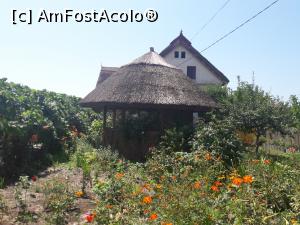 [P15] foisorul cu stuf » foto by silvia tudoran
 - 
<span class="allrVoted glyphicon glyphicon-heart hidden" id="av1166316"></span>
<a class="m-l-10 hidden" id="sv1166316" onclick="voting_Foto_DelVot(,1166316,4923)" role="button">șterge vot <span class="glyphicon glyphicon-remove"></span></a>
<a id="v91166316" class=" c-red"  onclick="voting_Foto_SetVot(1166316)" role="button"><span class="glyphicon glyphicon-heart-empty"></span> <b>LIKE</b> = Votează poza</a> <img class="hidden"  id="f1166316W9" src="/imagini/loader.gif" border="0" /><span class="AjErrMes hidden" id="e1166316ErM"></span>