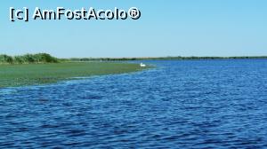 [P15] Pelican pe lacul Puiu » foto by BOGDAN DSN
 - 
<span class="allrVoted glyphicon glyphicon-heart hidden" id="av1030164"></span>
<a class="m-l-10 hidden" id="sv1030164" onclick="voting_Foto_DelVot(,1030164,4923)" role="button">șterge vot <span class="glyphicon glyphicon-remove"></span></a>
<a id="v91030164" class=" c-red"  onclick="voting_Foto_SetVot(1030164)" role="button"><span class="glyphicon glyphicon-heart-empty"></span> <b>LIKE</b> = Votează poza</a> <img class="hidden"  id="f1030164W9" src="/imagini/loader.gif" border="0" /><span class="AjErrMes hidden" id="e1030164ErM"></span>