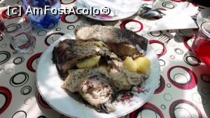 [P21] La borș se folosesc mai multe feluri de pește » foto by BOGDAN DSN
 - 
<span class="allrVoted glyphicon glyphicon-heart hidden" id="av1030170"></span>
<a class="m-l-10 hidden" id="sv1030170" onclick="voting_Foto_DelVot(,1030170,4923)" role="button">șterge vot <span class="glyphicon glyphicon-remove"></span></a>
<a id="v91030170" class=" c-red"  onclick="voting_Foto_SetVot(1030170)" role="button"><span class="glyphicon glyphicon-heart-empty"></span> <b>LIKE</b> = Votează poza</a> <img class="hidden"  id="f1030170W9" src="/imagini/loader.gif" border="0" /><span class="AjErrMes hidden" id="e1030170ErM"></span>