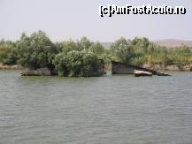 [P51]  -- <small>// FĂRĂ DESCRIERE</small> » foto by dianabzs
 - 
<span class="allrVoted glyphicon glyphicon-heart hidden" id="av160458"></span>
<a class="m-l-10 hidden" id="sv160458" onclick="voting_Foto_DelVot(,160458,4923)" role="button">șterge vot <span class="glyphicon glyphicon-remove"></span></a>
<a id="v9160458" class=" c-red"  onclick="voting_Foto_SetVot(160458)" role="button"><span class="glyphicon glyphicon-heart-empty"></span> <b>LIKE</b> = Votează poza</a> <img class="hidden"  id="f160458W9" src="/imagini/loader.gif" border="0" /><span class="AjErrMes hidden" id="e160458ErM"></span>