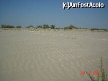 [P07] Plaja Sfantu Gheorghe - dune de nisip, necalcate de om, identice cu cele de pe fundul marii, lucrate de valuri » foto by bessondm
 - 
<span class="allrVoted glyphicon glyphicon-heart hidden" id="av129947"></span>
<a class="m-l-10 hidden" id="sv129947" onclick="voting_Foto_DelVot(,129947,4923)" role="button">șterge vot <span class="glyphicon glyphicon-remove"></span></a>
<a id="v9129947" class=" c-red"  onclick="voting_Foto_SetVot(129947)" role="button"><span class="glyphicon glyphicon-heart-empty"></span> <b>LIKE</b> = Votează poza</a> <img class="hidden"  id="f129947W9" src="/imagini/loader.gif" border="0" /><span class="AjErrMes hidden" id="e129947ErM"></span>