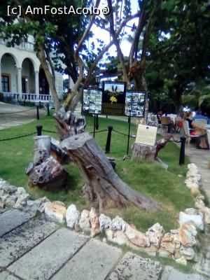 [P27] Parcul h. National » foto by grecudoina
 - 
<span class="allrVoted glyphicon glyphicon-heart hidden" id="av1085724"></span>
<a class="m-l-10 hidden" id="sv1085724" onclick="voting_Foto_DelVot(,1085724,4925)" role="button">șterge vot <span class="glyphicon glyphicon-remove"></span></a>
<a id="v91085724" class=" c-red"  onclick="voting_Foto_SetVot(1085724)" role="button"><span class="glyphicon glyphicon-heart-empty"></span> <b>LIKE</b> = Votează poza</a> <img class="hidden"  id="f1085724W9" src="/imagini/loader.gif" border="0" /><span class="AjErrMes hidden" id="e1085724ErM"></span>