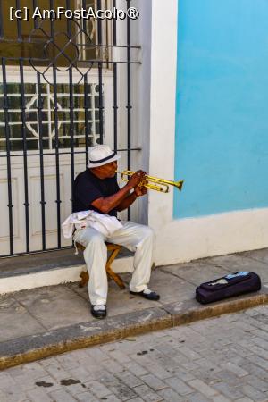 [P05] la pas prin Havana » foto by robert
 - 
<span class="allrVoted glyphicon glyphicon-heart hidden" id="av1411821"></span>
<a class="m-l-10 hidden" id="sv1411821" onclick="voting_Foto_DelVot(,1411821,4925)" role="button">șterge vot <span class="glyphicon glyphicon-remove"></span></a>
<a id="v91411821" class=" c-red"  onclick="voting_Foto_SetVot(1411821)" role="button"><span class="glyphicon glyphicon-heart-empty"></span> <b>LIKE</b> = Votează poza</a> <img class="hidden"  id="f1411821W9" src="/imagini/loader.gif" border="0" /><span class="AjErrMes hidden" id="e1411821ErM"></span>