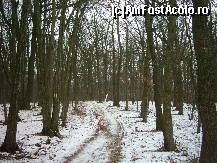 [P03] La ora 6 dimineata pornim sa trasam pista de alergare in padurea Livezeni » foto by dorgo
 - 
<span class="allrVoted glyphicon glyphicon-heart hidden" id="av180407"></span>
<a class="m-l-10 hidden" id="sv180407" onclick="voting_Foto_DelVot(,180407,4932)" role="button">șterge vot <span class="glyphicon glyphicon-remove"></span></a>
<a id="v9180407" class=" c-red"  onclick="voting_Foto_SetVot(180407)" role="button"><span class="glyphicon glyphicon-heart-empty"></span> <b>LIKE</b> = Votează poza</a> <img class="hidden"  id="f180407W9" src="/imagini/loader.gif" border="0" /><span class="AjErrMes hidden" id="e180407ErM"></span>
