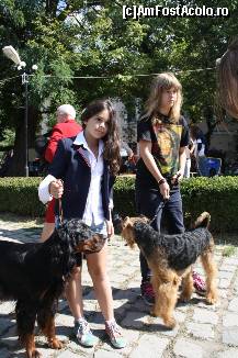[P15] Vedetele expozitiei canine » foto by dorgo
 - 
<span class="allrVoted glyphicon glyphicon-heart hidden" id="av469440"></span>
<a class="m-l-10 hidden" id="sv469440" onclick="voting_Foto_DelVot(,469440,4932)" role="button">șterge vot <span class="glyphicon glyphicon-remove"></span></a>
<a id="v9469440" class=" c-red"  onclick="voting_Foto_SetVot(469440)" role="button"><span class="glyphicon glyphicon-heart-empty"></span> <b>LIKE</b> = Votează poza</a> <img class="hidden"  id="f469440W9" src="/imagini/loader.gif" border="0" /><span class="AjErrMes hidden" id="e469440ErM"></span>