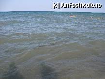 [P09] apa foarte murdara , de culoare maro » foto by z_claudiu
 - 
<span class="allrVoted glyphicon glyphicon-heart hidden" id="av334580"></span>
<a class="m-l-10 hidden" id="sv334580" onclick="voting_Foto_DelVot(,334580,4941)" role="button">șterge vot <span class="glyphicon glyphicon-remove"></span></a>
<a id="v9334580" class=" c-red"  onclick="voting_Foto_SetVot(334580)" role="button"><span class="glyphicon glyphicon-heart-empty"></span> <b>LIKE</b> = Votează poza</a> <img class="hidden"  id="f334580W9" src="/imagini/loader.gif" border="0" /><span class="AjErrMes hidden" id="e334580ErM"></span>