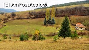 [P04] Peisaj rural în partea de jos a satului Hosasău.  » foto by Lucien
 - 
<span class="allrVoted glyphicon glyphicon-heart hidden" id="av837155"></span>
<a class="m-l-10 hidden" id="sv837155" onclick="voting_Foto_DelVot(,837155,4951)" role="button">șterge vot <span class="glyphicon glyphicon-remove"></span></a>
<a id="v9837155" class=" c-red"  onclick="voting_Foto_SetVot(837155)" role="button"><span class="glyphicon glyphicon-heart-empty"></span> <b>LIKE</b> = Votează poza</a> <img class="hidden"  id="f837155W9" src="/imagini/loader.gif" border="0" /><span class="AjErrMes hidden" id="e837155ErM"></span>