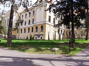 [P22] Clădirea Colegiului Naţional Márton Áron: detalii de faţadă. » foto by Qvadratvus
 - 
<span class="allrVoted glyphicon glyphicon-heart hidden" id="av1176072"></span>
<a class="m-l-10 hidden" id="sv1176072" onclick="voting_Foto_DelVot(,1176072,4951)" role="button">șterge vot <span class="glyphicon glyphicon-remove"></span></a>
<a id="v91176072" class=" c-red"  onclick="voting_Foto_SetVot(1176072)" role="button"><span class="glyphicon glyphicon-heart-empty"></span> <b>LIKE</b> = Votează poza</a> <img class="hidden"  id="f1176072W9" src="/imagini/loader.gif" border="0" /><span class="AjErrMes hidden" id="e1176072ErM"></span>