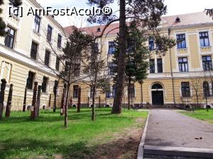 [P23] Clădirea Colegiului Naţional Márton Áron: detalii de faţadă. Aici se află Liceul Teologic Romano-Catolic ,, Segítő Mária”. » foto by Qvadratvus
 - 
<span class="allrVoted glyphicon glyphicon-heart hidden" id="av1176073"></span>
<a class="m-l-10 hidden" id="sv1176073" onclick="voting_Foto_DelVot(,1176073,4951)" role="button">șterge vot <span class="glyphicon glyphicon-remove"></span></a>
<a id="v91176073" class=" c-red"  onclick="voting_Foto_SetVot(1176073)" role="button"><span class="glyphicon glyphicon-heart-empty"></span> <b>LIKE</b> = Votează poza</a> <img class="hidden"  id="f1176073W9" src="/imagini/loader.gif" border="0" /><span class="AjErrMes hidden" id="e1176073ErM"></span>