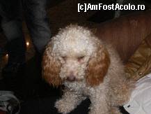 [P28] Creata de Daisy :)
Dau un pup pe boticul ala mic al tau... » foto by mili1983
 - 
<span class="allrVoted glyphicon glyphicon-heart hidden" id="av50300"></span>
<a class="m-l-10 hidden" id="sv50300" onclick="voting_Foto_DelVot(,50300,4961)" role="button">șterge vot <span class="glyphicon glyphicon-remove"></span></a>
<a id="v950300" class=" c-red"  onclick="voting_Foto_SetVot(50300)" role="button"><span class="glyphicon glyphicon-heart-empty"></span> <b>LIKE</b> = Votează poza</a> <img class="hidden"  id="f50300W9" src="/imagini/loader.gif" border="0" /><span class="AjErrMes hidden" id="e50300ErM"></span>