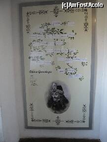 [P23]  -- <small>// FĂRĂ DESCRIERE</small> » foto by dpavel
 - 
<span class="allrVoted glyphicon glyphicon-heart hidden" id="av205307"></span>
<a class="m-l-10 hidden" id="sv205307" onclick="voting_Foto_DelVot(,205307,4963)" role="button">șterge vot <span class="glyphicon glyphicon-remove"></span></a>
<a id="v9205307" class=" c-red"  onclick="voting_Foto_SetVot(205307)" role="button"><span class="glyphicon glyphicon-heart-empty"></span> <b>LIKE</b> = Votează poza</a> <img class="hidden"  id="f205307W9" src="/imagini/loader.gif" border="0" /><span class="AjErrMes hidden" id="e205307ErM"></span>