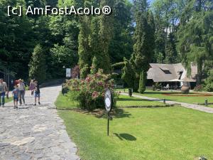 [P51] Castelul Bran-parcul » foto by AZE
 - 
<span class="allrVoted glyphicon glyphicon-heart hidden" id="av1371657"></span>
<a class="m-l-10 hidden" id="sv1371657" onclick="voting_Foto_DelVot(,1371657,4963)" role="button">șterge vot <span class="glyphicon glyphicon-remove"></span></a>
<a id="v91371657" class=" c-red"  onclick="voting_Foto_SetVot(1371657)" role="button"><span class="glyphicon glyphicon-heart-empty"></span> <b>LIKE</b> = Votează poza</a> <img class="hidden"  id="f1371657W9" src="/imagini/loader.gif" border="0" /><span class="AjErrMes hidden" id="e1371657ErM"></span>