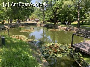 [P57] Castelul Bran-lacul » foto by AZE
 - 
<span class="allrVoted glyphicon glyphicon-heart hidden" id="av1371663"></span>
<a class="m-l-10 hidden" id="sv1371663" onclick="voting_Foto_DelVot(,1371663,4963)" role="button">șterge vot <span class="glyphicon glyphicon-remove"></span></a>
<a id="v91371663" class=" c-red"  onclick="voting_Foto_SetVot(1371663)" role="button"><span class="glyphicon glyphicon-heart-empty"></span> <b>LIKE</b> = Votează poza</a> <img class="hidden"  id="f1371663W9" src="/imagini/loader.gif" border="0" /><span class="AjErrMes hidden" id="e1371663ErM"></span>