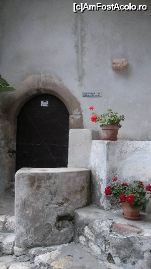 [P10] o culoare binevenita in cenusiul castelului!  » foto by alle4295
 - 
<span class="allrVoted glyphicon glyphicon-heart hidden" id="av683858"></span>
<a class="m-l-10 hidden" id="sv683858" onclick="voting_Foto_DelVot(,683858,4963)" role="button">șterge vot <span class="glyphicon glyphicon-remove"></span></a>
<a id="v9683858" class=" c-red"  onclick="voting_Foto_SetVot(683858)" role="button"><span class="glyphicon glyphicon-heart-empty"></span> <b>LIKE</b> = Votează poza</a> <img class="hidden"  id="f683858W9" src="/imagini/loader.gif" border="0" /><span class="AjErrMes hidden" id="e683858ErM"></span>