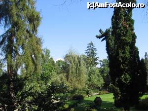 [P01] Parcul castelului Bran » foto by Michi
 - 
<span class="allrVoted glyphicon glyphicon-heart hidden" id="av699807"></span>
<a class="m-l-10 hidden" id="sv699807" onclick="voting_Foto_DelVot(,699807,4963)" role="button">șterge vot <span class="glyphicon glyphicon-remove"></span></a>
<a id="v9699807" class=" c-red"  onclick="voting_Foto_SetVot(699807)" role="button"><span class="glyphicon glyphicon-heart-empty"></span> <b>LIKE</b> = Votează poza</a> <img class="hidden"  id="f699807W9" src="/imagini/loader.gif" border="0" /><span class="AjErrMes hidden" id="e699807ErM"></span>