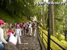 [P05] Scara catre Castelul Bran, foarte multi turisti chiar daca ploua. » foto by anadragusin
 - 
<span class="allrVoted glyphicon glyphicon-heart hidden" id="av170903"></span>
<a class="m-l-10 hidden" id="sv170903" onclick="voting_Foto_DelVot(,170903,4963)" role="button">șterge vot <span class="glyphicon glyphicon-remove"></span></a>
<a id="v9170903" class=" c-red"  onclick="voting_Foto_SetVot(170903)" role="button"><span class="glyphicon glyphicon-heart-empty"></span> <b>LIKE</b> = Votează poza</a> <img class="hidden"  id="f170903W9" src="/imagini/loader.gif" border="0" /><span class="AjErrMes hidden" id="e170903ErM"></span>