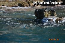 [P20] Kekova » foto by Kyandra
 - 
<span class="allrVoted glyphicon glyphicon-heart hidden" id="av474382"></span>
<a class="m-l-10 hidden" id="sv474382" onclick="voting_Foto_DelVot(,474382,4965)" role="button">șterge vot <span class="glyphicon glyphicon-remove"></span></a>
<a id="v9474382" class=" c-red"  onclick="voting_Foto_SetVot(474382)" role="button"><span class="glyphicon glyphicon-heart-empty"></span> <b>LIKE</b> = Votează poza</a> <img class="hidden"  id="f474382W9" src="/imagini/loader.gif" border="0" /><span class="AjErrMes hidden" id="e474382ErM"></span>