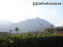 [P64]  -- <small>// FĂRĂ DESCRIERE</small> » foto by Alb
 - 
<span class="allrVoted glyphicon glyphicon-heart hidden" id="av50058"></span>
<a class="m-l-10 hidden" id="sv50058" onclick="voting_Foto_DelVot(,50058,4965)" role="button">șterge vot <span class="glyphicon glyphicon-remove"></span></a>
<a id="v950058" class=" c-red"  onclick="voting_Foto_SetVot(50058)" role="button"><span class="glyphicon glyphicon-heart-empty"></span> <b>LIKE</b> = Votează poza</a> <img class="hidden"  id="f50058W9" src="/imagini/loader.gif" border="0" /><span class="AjErrMes hidden" id="e50058ErM"></span>