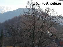 [P15] In dreapta se zarea si castelul » foto by ancamariagadea*
 - 
<span class="allrVoted glyphicon glyphicon-heart hidden" id="av51779"></span>
<a class="m-l-10 hidden" id="sv51779" onclick="voting_Foto_DelVot(,51779,4983)" role="button">șterge vot <span class="glyphicon glyphicon-remove"></span></a>
<a id="v951779" class=" c-red"  onclick="voting_Foto_SetVot(51779)" role="button"><span class="glyphicon glyphicon-heart-empty"></span> <b>LIKE</b> = Votează poza</a> <img class="hidden"  id="f51779W9" src="/imagini/loader.gif" border="0" /><span class="AjErrMes hidden" id="e51779ErM"></span>